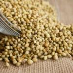 Coriander seed 100 gr