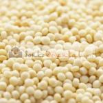 Durum wheat grain berkoukes mhamsa aich