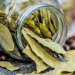 Feuilles de Laurier Sauce séchées haute qualité 25 gr