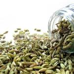 Natural Fennel Seeds